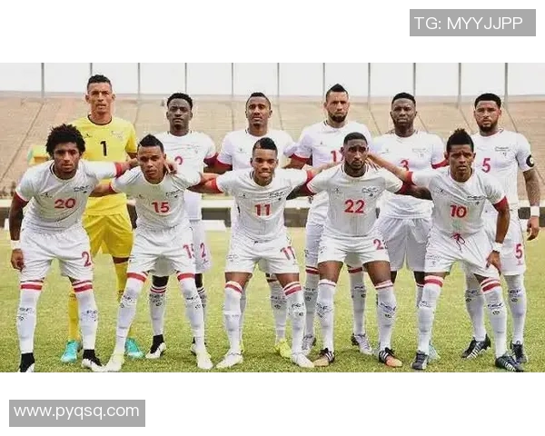 杭州足球队在世界杯中的团队协作表现分析与评价 杭州足球队在世界杯中的团队协作表现分析与评价