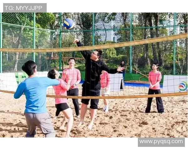 聚焦排球精神：杭州排球队如何塑造团队意识与竞技风采